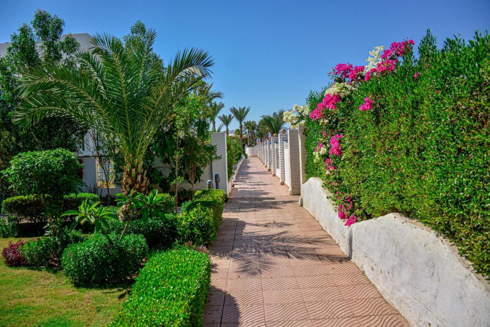Desert View Sharm Hotel Exteriör bild